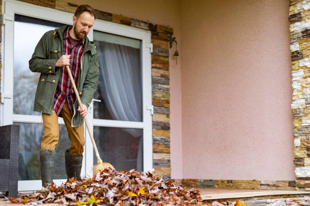 Best Basement Cleanout Services  in Patterson, CA